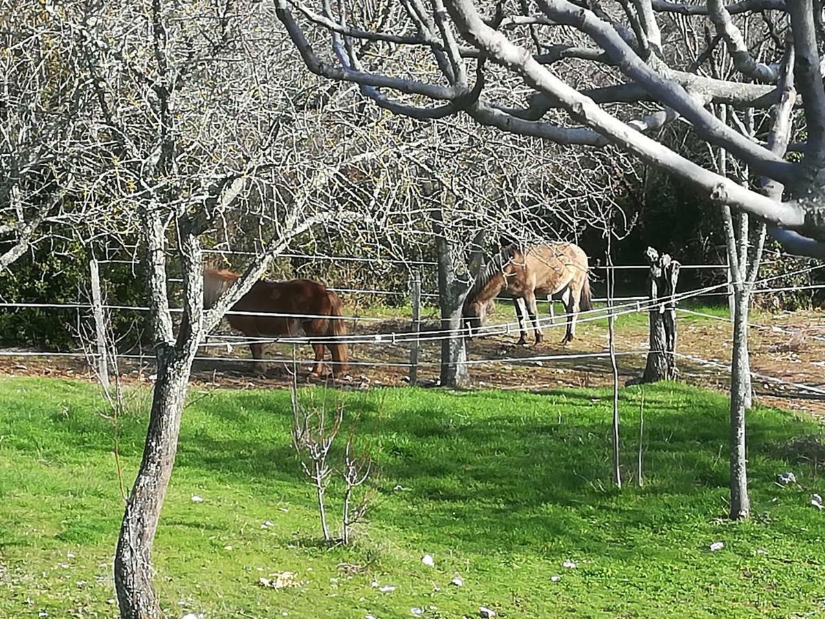 Russan Studio Gard Calme Et Nature מראה חיצוני תמונה