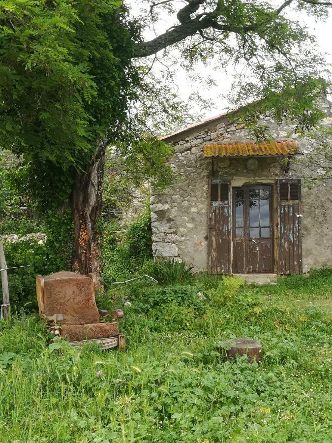 Russan Studio Gard Calme Et Nature מראה חיצוני תמונה