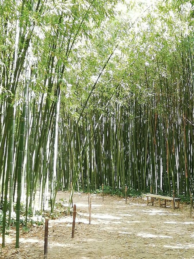 Russan Studio Gard Calme Et Nature מראה חיצוני תמונה